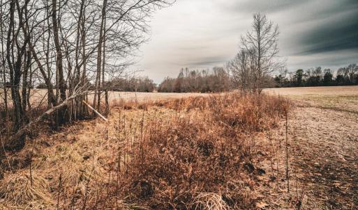 Photo #46 of ELLIS RD, LIGNUM, VA 54.2 acres