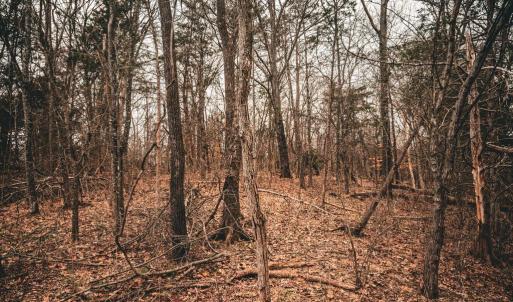 Photo #47 of ELLIS RD, LIGNUM, VA 54.2 acres