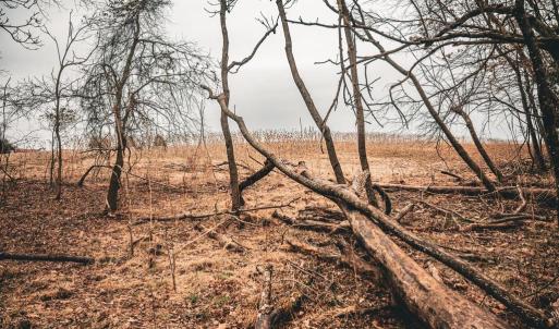 Photo #48 of ELLIS RD, LIGNUM, VA 54.2 acres
