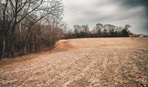 Photo #49 of ELLIS RD, LIGNUM, VA 54.2 acres
