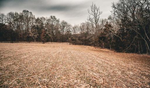 Photo #50 of ELLIS RD, LIGNUM, VA 54.2 acres
