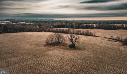Photo #4 of ELLIS RD, LIGNUM, VA 54.2 acres