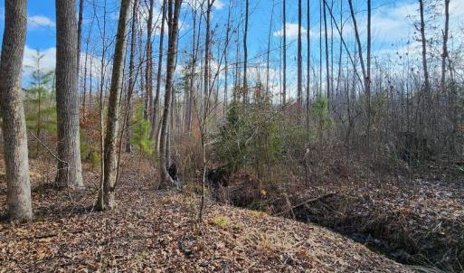 Photo #2 of VAWTER CORNER, LOUISA, VA 50.5 acres