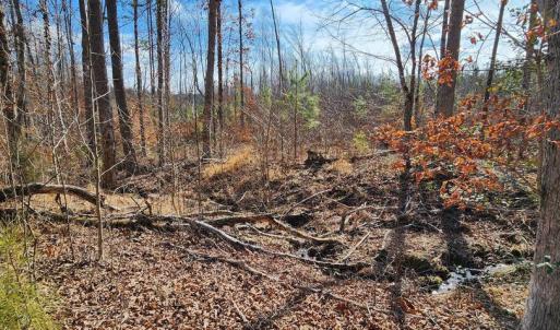 Photo #3 of VAWTER CORNER, LOUISA, VA 50.5 acres