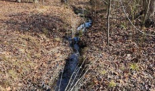 Photo #4 of VAWTER CORNER, LOUISA, VA 50.5 acres