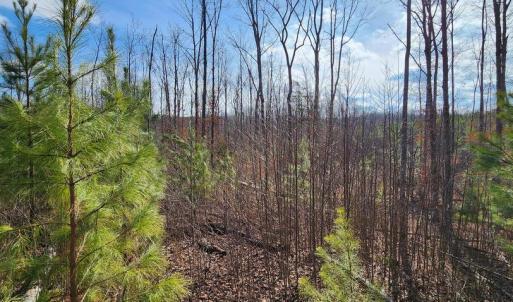 Photo #5 of VAWTER CORNER, LOUISA, VA 50.5 acres