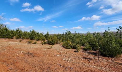 Photo #8 of VAWTER CORNER, LOUISA, VA 50.5 acres