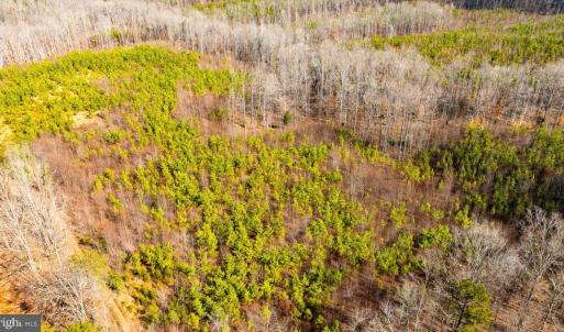 Photo #24 of VAWTER CORNER, LOUISA, VA 50.5 acres