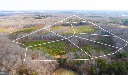 Photo #1 of VAWTER CORNER, LOUISA, VA 50.5 acres