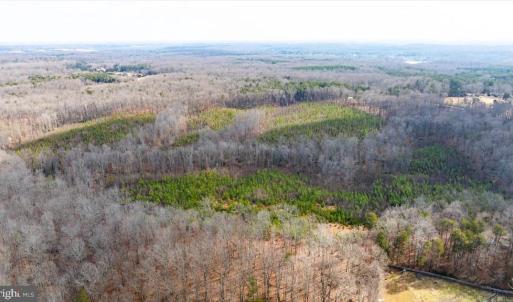 Photo #30 of VAWTER CORNER, LOUISA, VA 50.5 acres