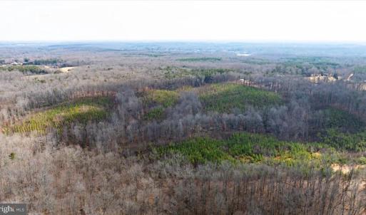 Photo #31 of VAWTER CORNER, LOUISA, VA 50.5 acres