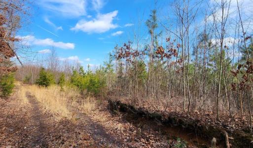 Photo #7 of VAWTER CORNER, LOUISA, VA 50.5 acres