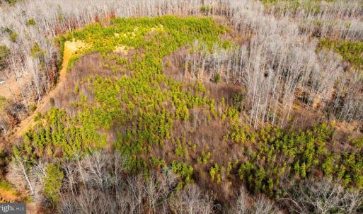 Photo #23 of VAWTER CORNER, LOUISA, VA 50.5 acres