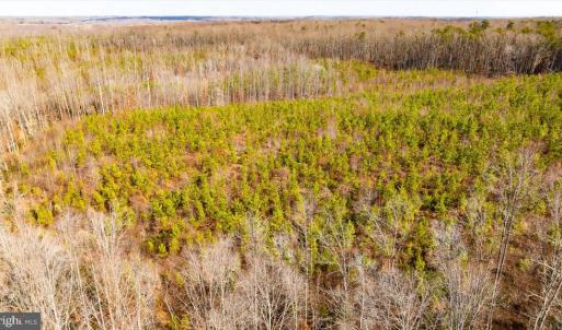 Photo #25 of VAWTER CORNER, LOUISA, VA 50.5 acres