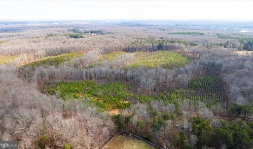 Photo #29 of VAWTER CORNER, LOUISA, VA 50.5 acres