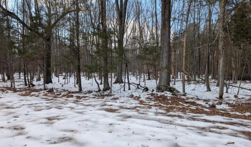 Photo #11 of RAPIDAN ROAD, RAPIDAN, VA 6.0 acres