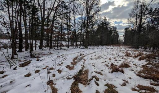 Photo #10 of RAPIDAN ROAD, RAPIDAN, VA 6.0 acres