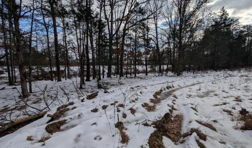 Photo #9 of RAPIDAN ROAD, RAPIDAN, VA 6.0 acres