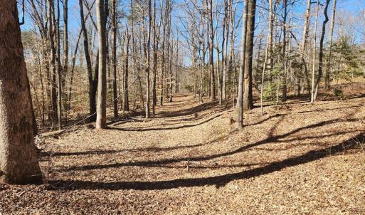 Photo #5 of TOWER RD, UNIONVILLE, VA 50.2 acres