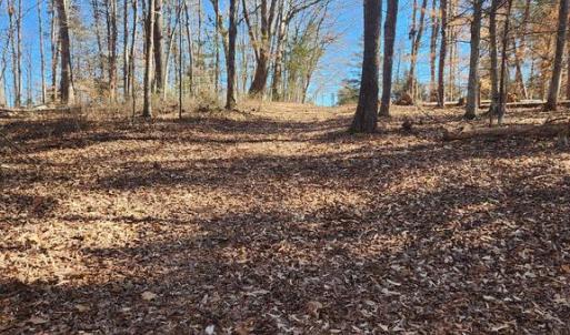 Photo #6 of TOWER RD, UNIONVILLE, VA 50.2 acres