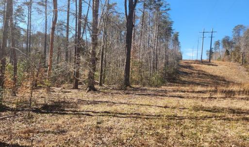 Photo #7 of TOWER RD, UNIONVILLE, VA 50.2 acres