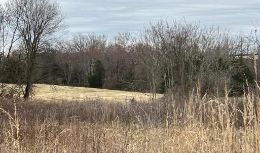 Photo #4 of 6485 S SEMINOLE TRAIL, ROCHELLE, VA 9.0 acres