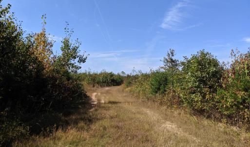 Photo #3 of 5947 COURTHOUSE RD, SPOTSYLVANIA, VA 628.8 acres