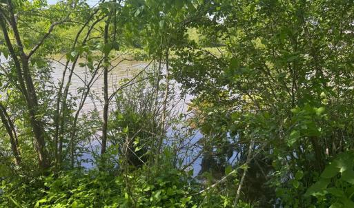 Photo #9 of LANDS END DR, ORANGE, VA 1.0 acres
