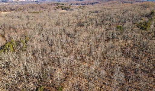 Photo #7 of ERNEST ROBINSON ROAD, MARSHALL, VA 5.6 acres