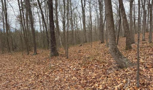Photo #16 of ERNEST ROBINSON ROAD, MARSHALL, VA 5.6 acres