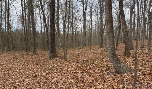 Photo #17 of ERNEST ROBINSON ROAD, MARSHALL, VA 5.6 acres