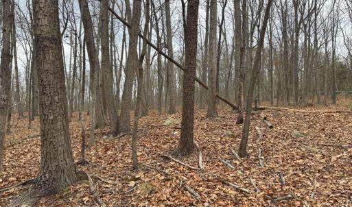 Photo #18 of ERNEST ROBINSON ROAD, MARSHALL, VA 5.6 acres