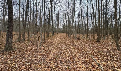 Photo #1 of ERNEST ROBINSON ROAD, MARSHALL, VA 5.6 acres