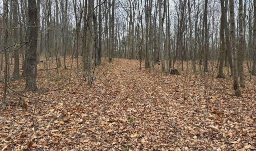 Photo #23 of ERNEST ROBINSON ROAD, MARSHALL, VA 5.6 acres
