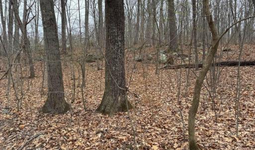Photo #3 of ERNEST ROBINSON ROAD, MARSHALL, VA 5.6 acres