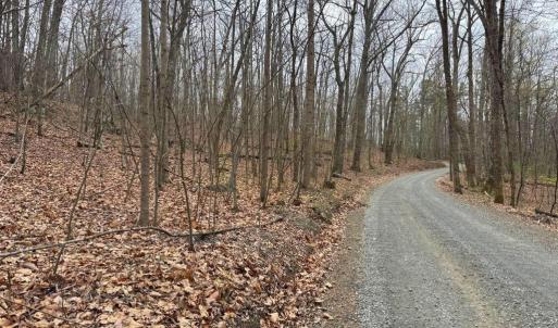 Photo #24 of ERNEST ROBINSON ROAD, MARSHALL, VA 5.6 acres