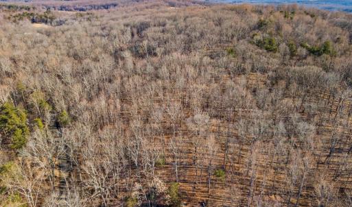 Photo #8 of ERNEST ROBINSON ROAD, MARSHALL, VA 5.6 acres
