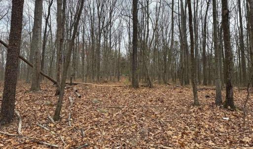 Photo #19 of ERNEST ROBINSON ROAD, MARSHALL, VA 5.6 acres