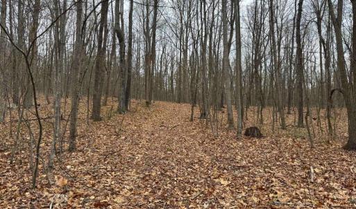 Photo #22 of ERNEST ROBINSON ROAD, MARSHALL, VA 5.6 acres