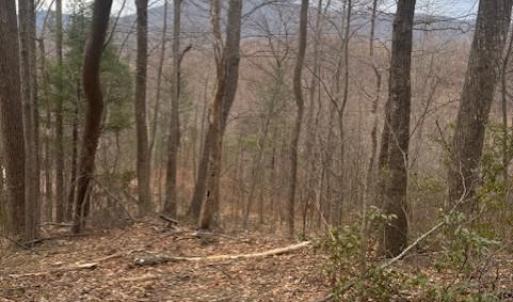 Photo #2 of REVENOOER, MADISON, VA 3.1 acres