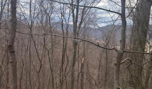 Photo #3 of REVENOOER, MADISON, VA 3.1 acres