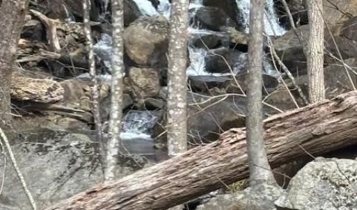 Photo #5 of REVENOOER, MADISON, VA 3.1 acres