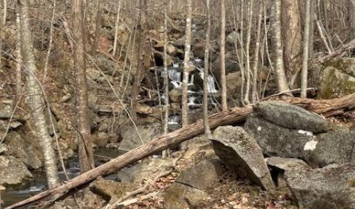 Photo #4 of REVENOOER, MADISON, VA 3.1 acres
