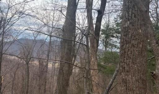 Photo #2 of REVENOOER, MADISON, VA 3.1 acres