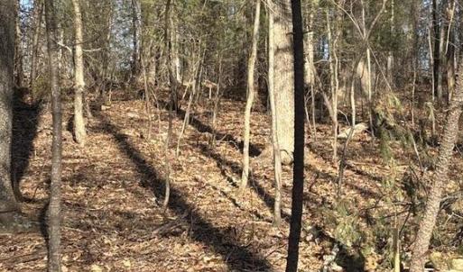 Photo #4 of DUET ROAD, MADISON, VA 5.1 acres