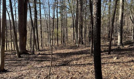 Photo #3 of DUET ROAD, MADISON, VA 5.1 acres