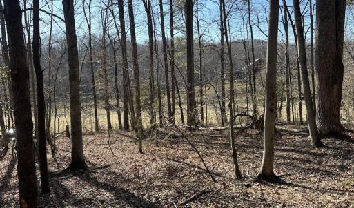 Photo #1 of DUET ROAD, MADISON, VA 5.1 acres