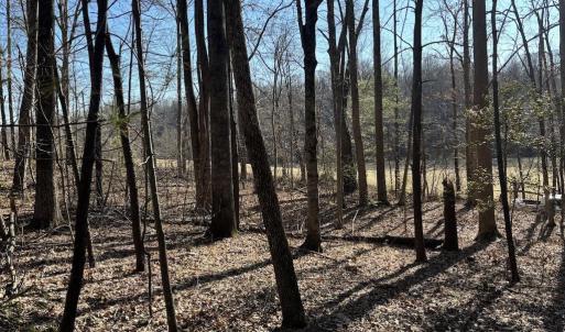 Photo #2 of DUET ROAD, MADISON, VA 5.1 acres