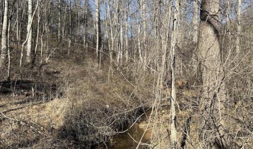 Photo #7 of DUET ROAD, MADISON, VA 5.1 acres