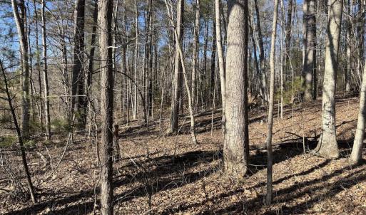 Photo #5 of DUET ROAD, MADISON, VA 5.1 acres